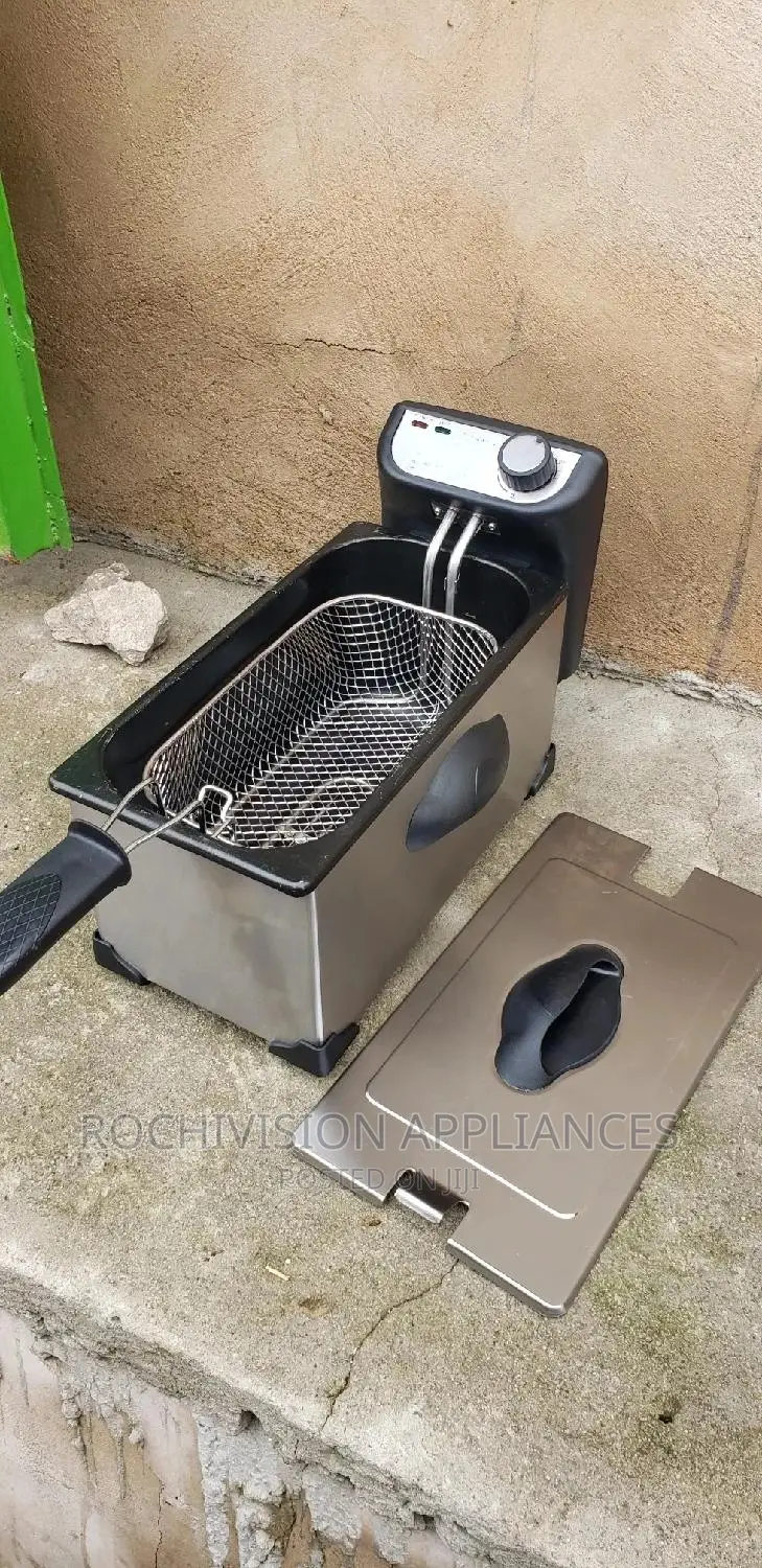 Electric Deep Fryer