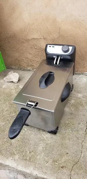 Electric Deep Fryer