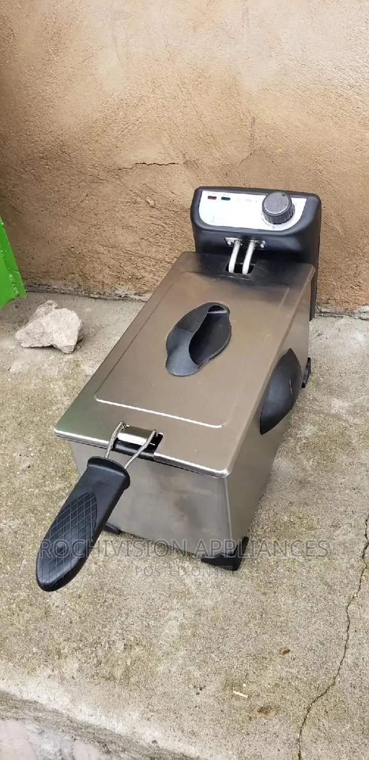 Electric Deep Fryer