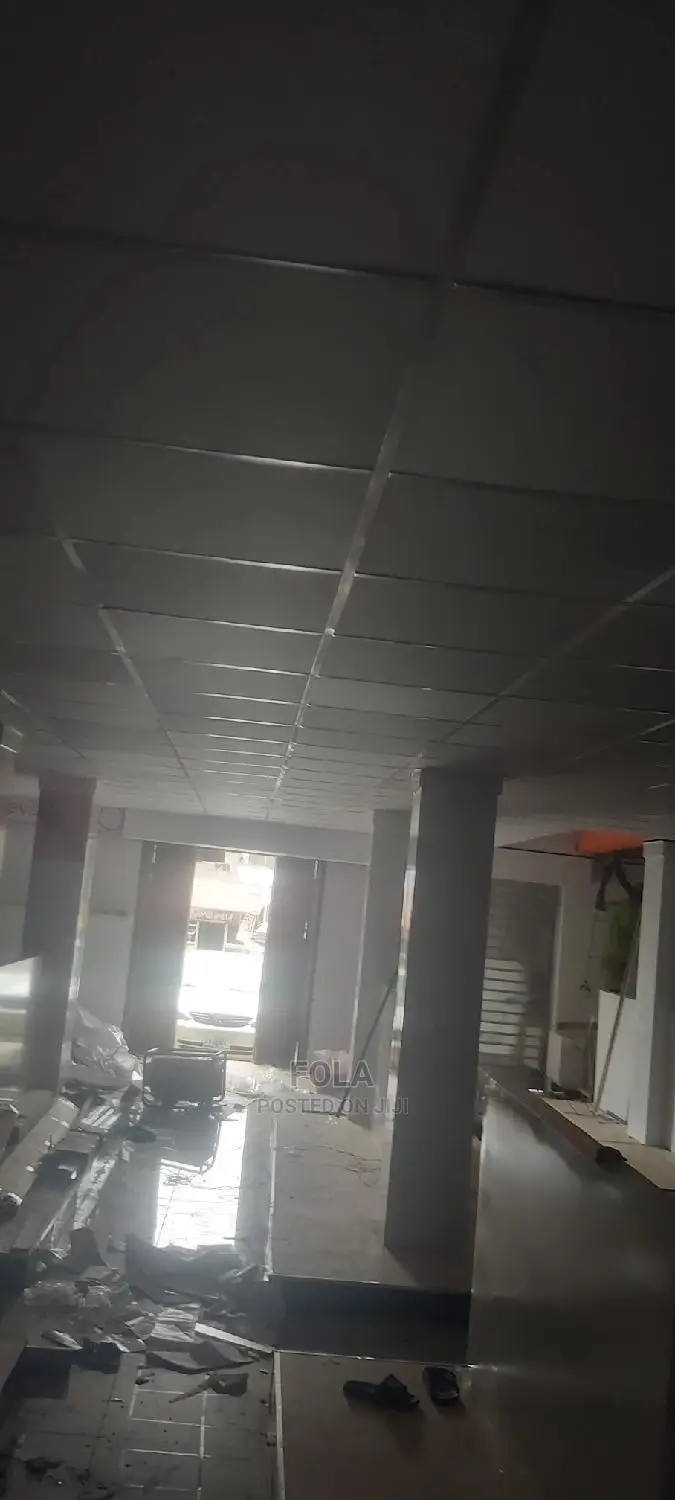 Suspended Ceilings With Grids