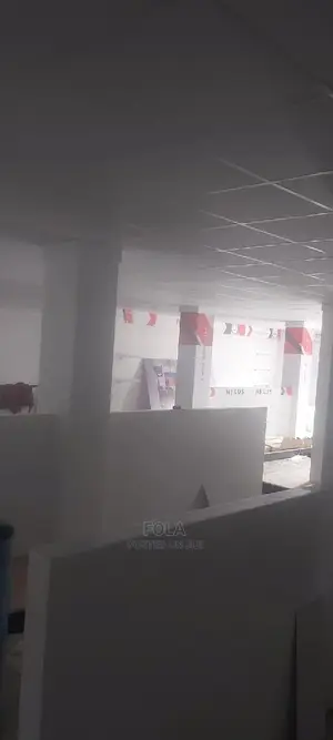 Suspended Ceilings With Grids