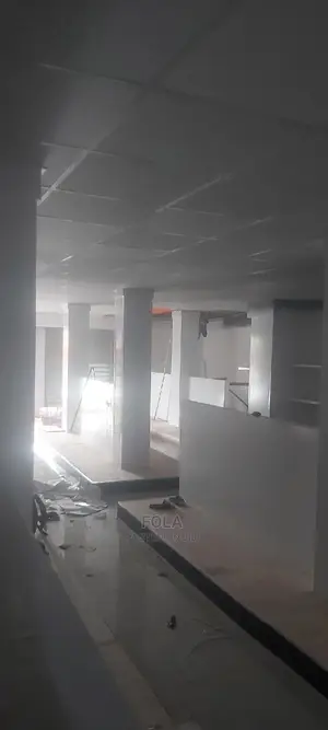Suspended Ceilings With Grids