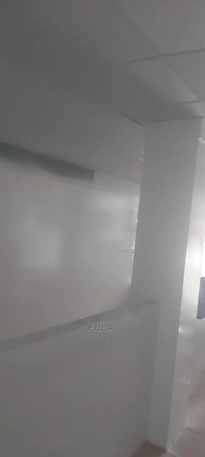 Suspended Ceilings With Grids