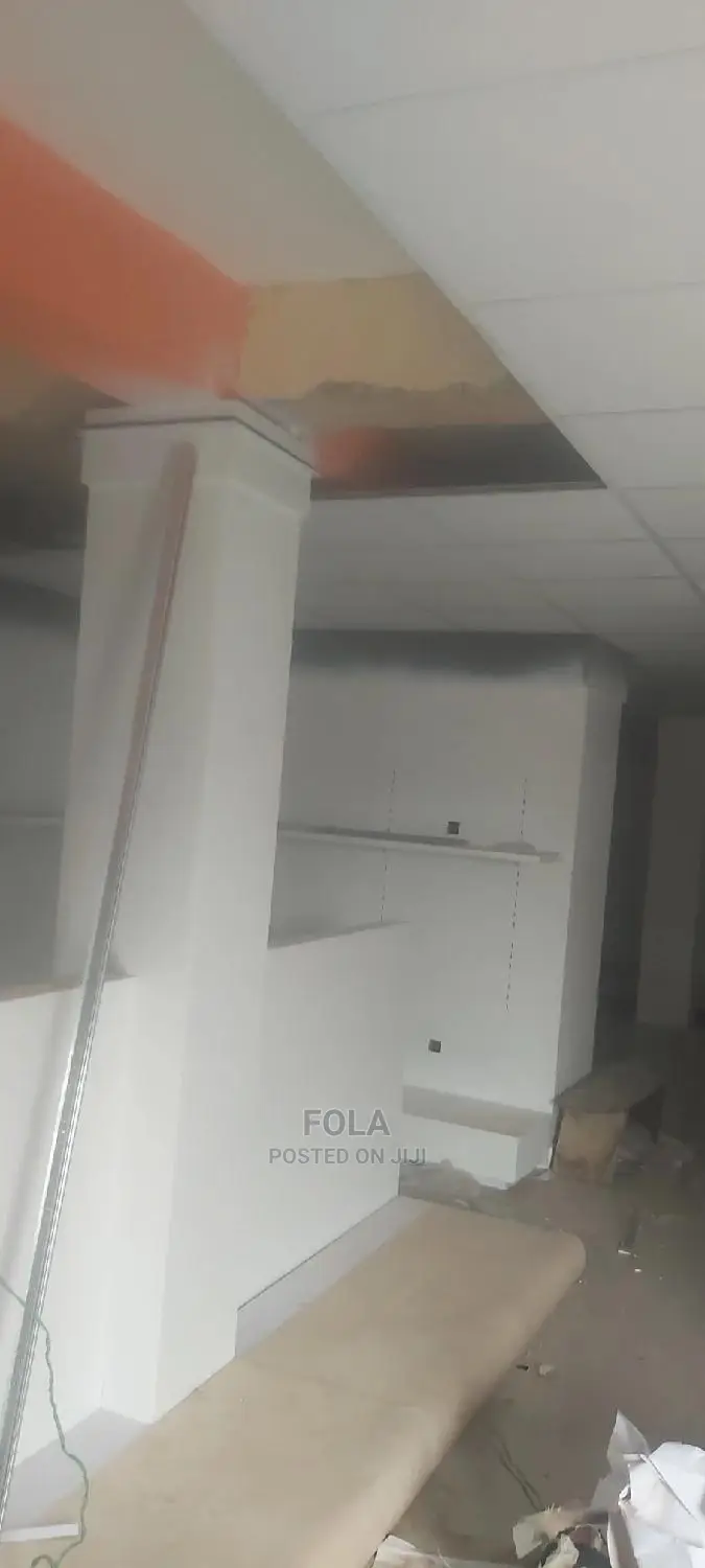 Suspended Ceilings With Grids