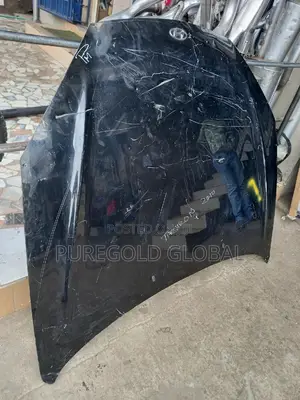 2012 Hyundai Tiburon Sport Bonnet