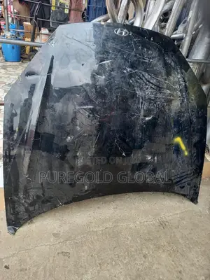 Hyundai Tiburon Bonnet