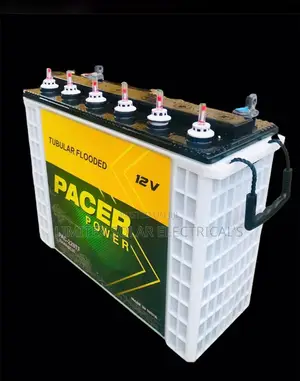 High Quality 220ah Tubular Battery
