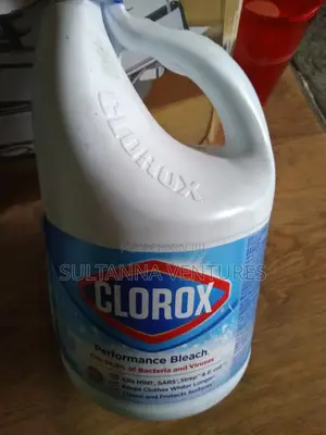 Clorox Bleach (3.58l)