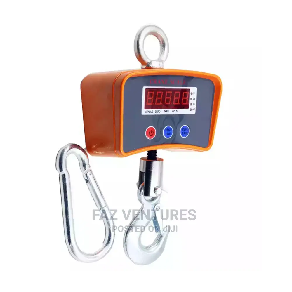 500kg Hanging Scale - European Standard