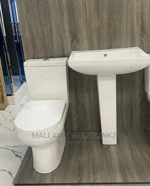 Standard Toilet Seat and Wash Hand Basin