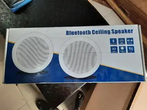 Bluetooth Ceiling Speaker