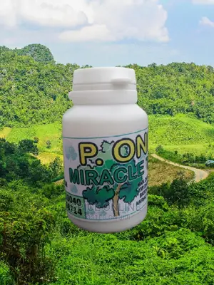 Vip: P1 Miracle Tablet