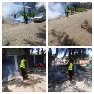 Interior and Exterior Fumigation of an Apartment at Ibeju