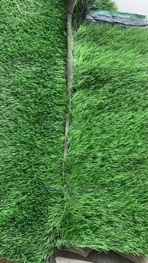 Best Synthetic Grass Carpet