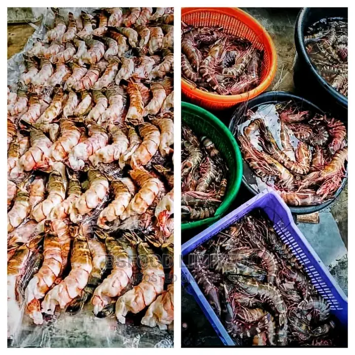 Fresh Jumbo Prawns
