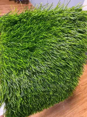 Photo - Artificial Grass Carpet