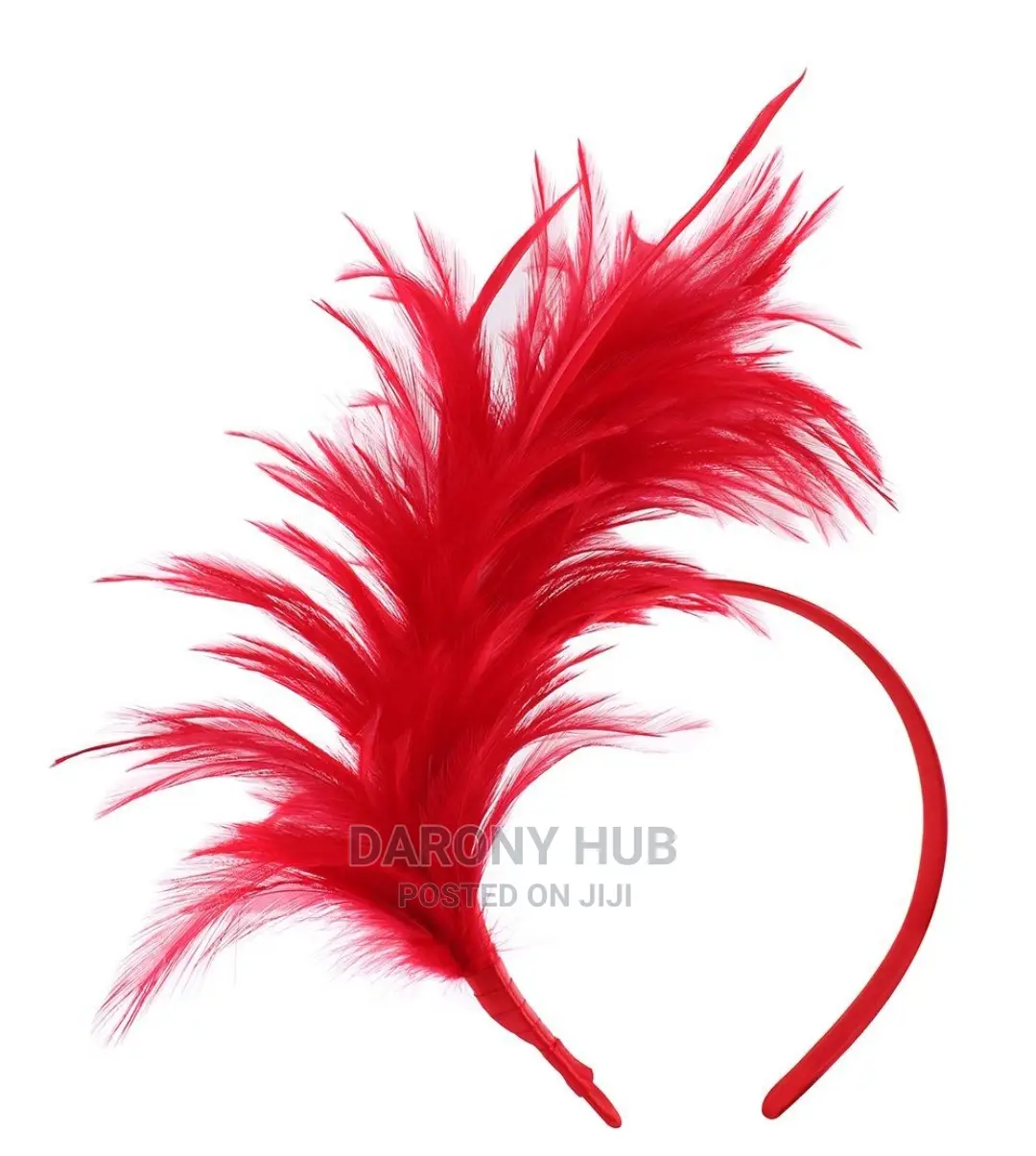 Feathers Headband