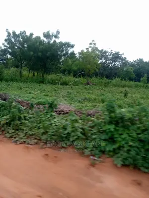 Land for at Ara Village Inside Kwara State Polytechnic I