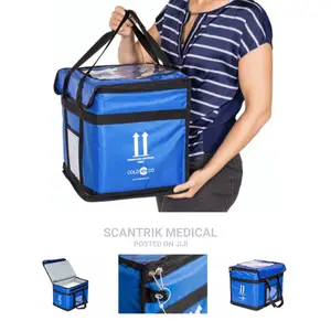Blood Transport Bag
