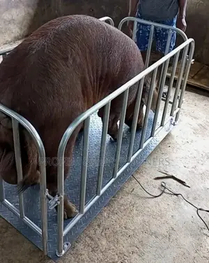 Animal Weighing Scale