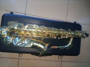 Roweller Tokunbo Professional Alto Saxophone