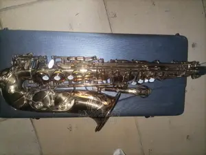 Rollinsax Custom Class RSA 9901 Alto Saxophone