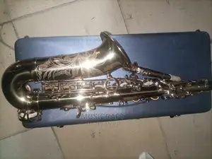 Rollinsax Custom Class RSA 9901 Alto Saxophone