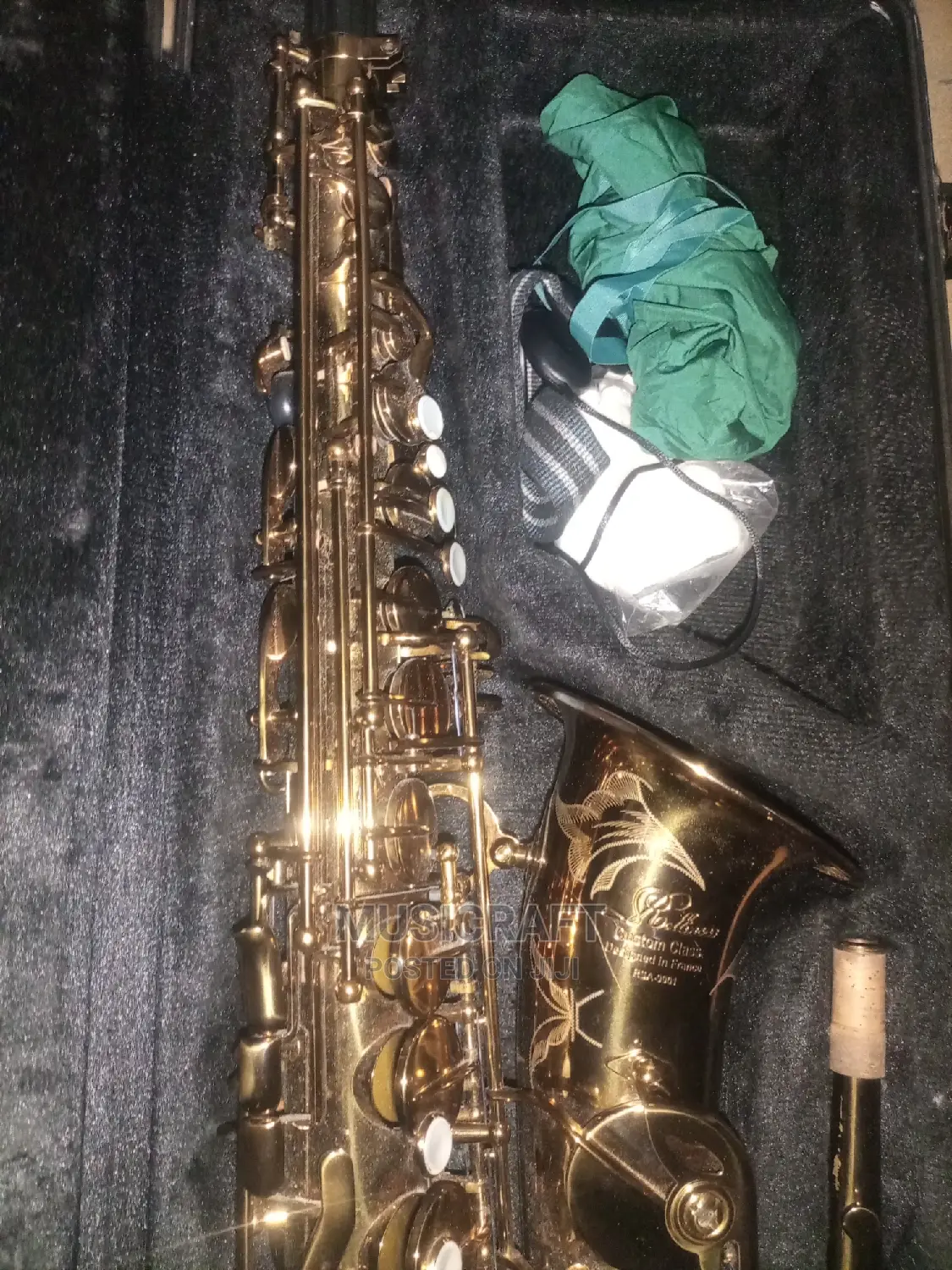 Rollinsax Custom Class RSA 9901 Alto Saxophone