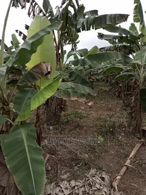 Farm Set-Up Management.