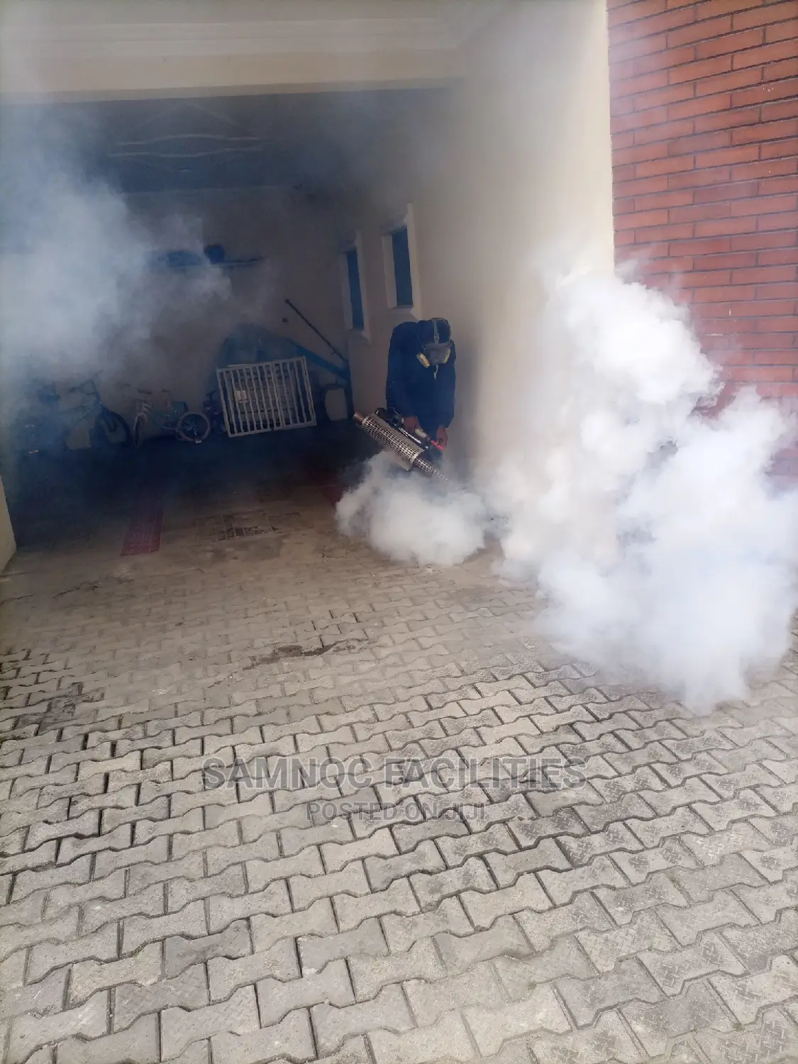 Bedbug Extermination, Rodent Control and General Fumigation
