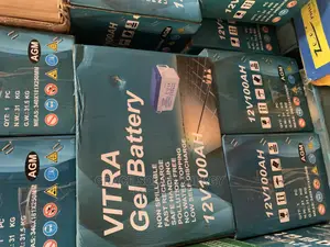 Vitra 100A 12v Battery