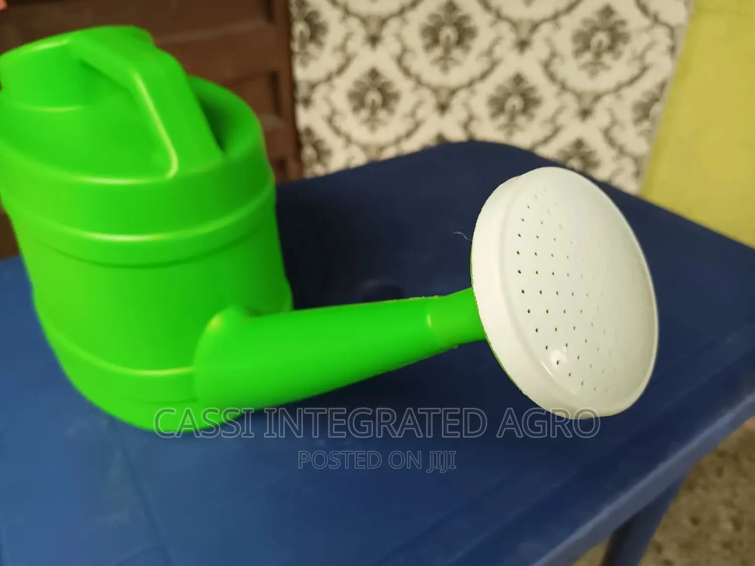 Watering Can 10L With Tiny Shower Mouth