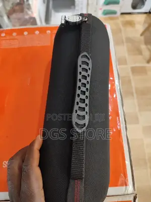 JBL Pulse 4 Carrying Case