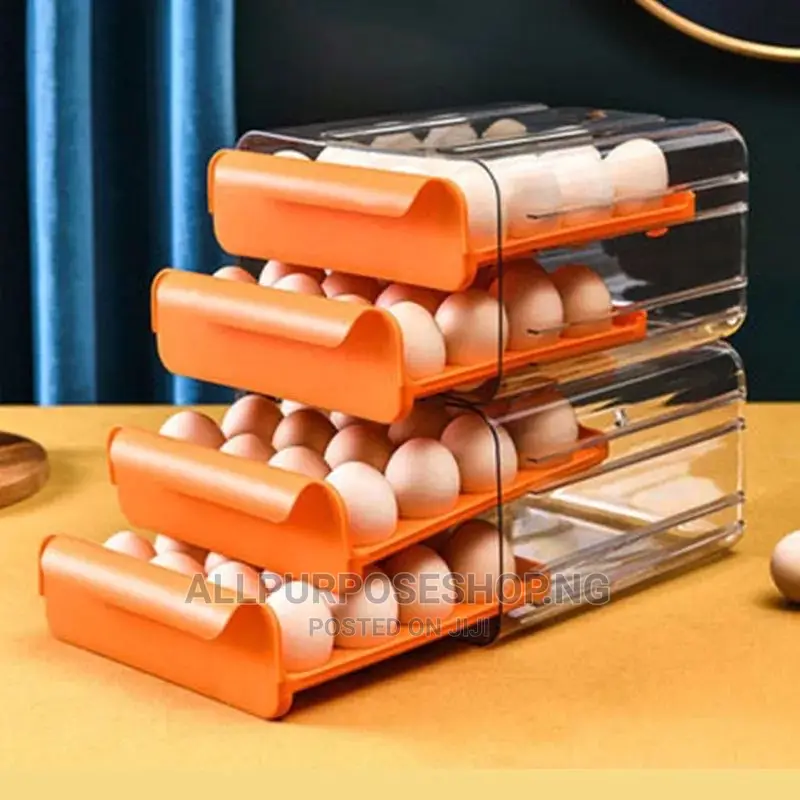 Egg Storage Rack