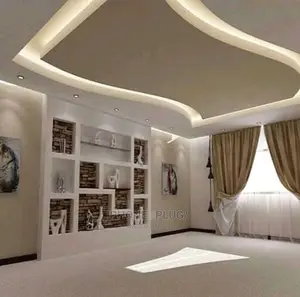 Roof Guters and Indoor Pop Walls Anceilings and Screeding