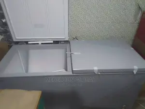 Hisense 500L Double Door Freezer