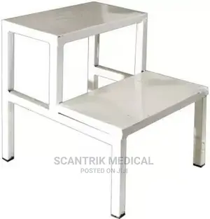 Stainless Steel Double Foot Step