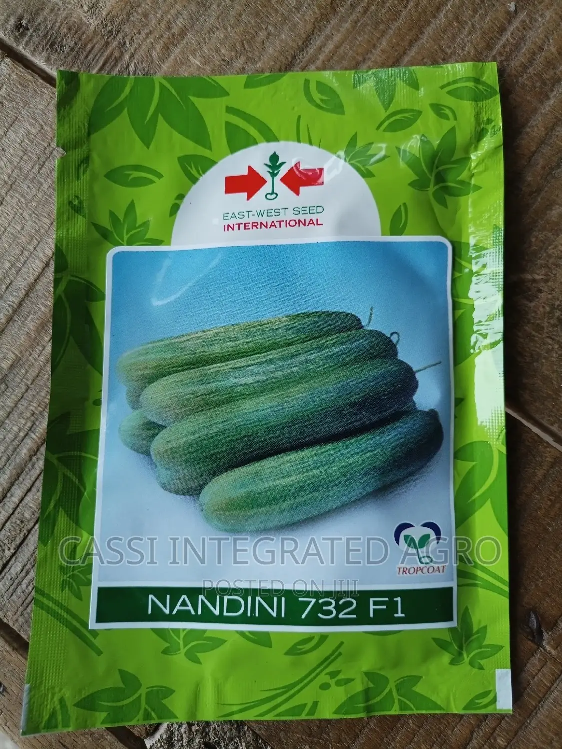 Nandini F1 Cucumber 10g