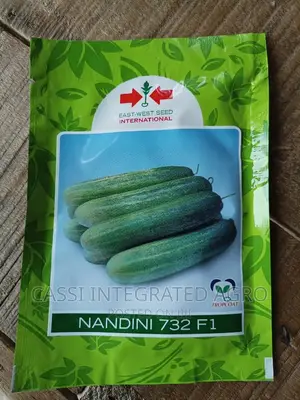 Nandini F1 Cucumber 10g