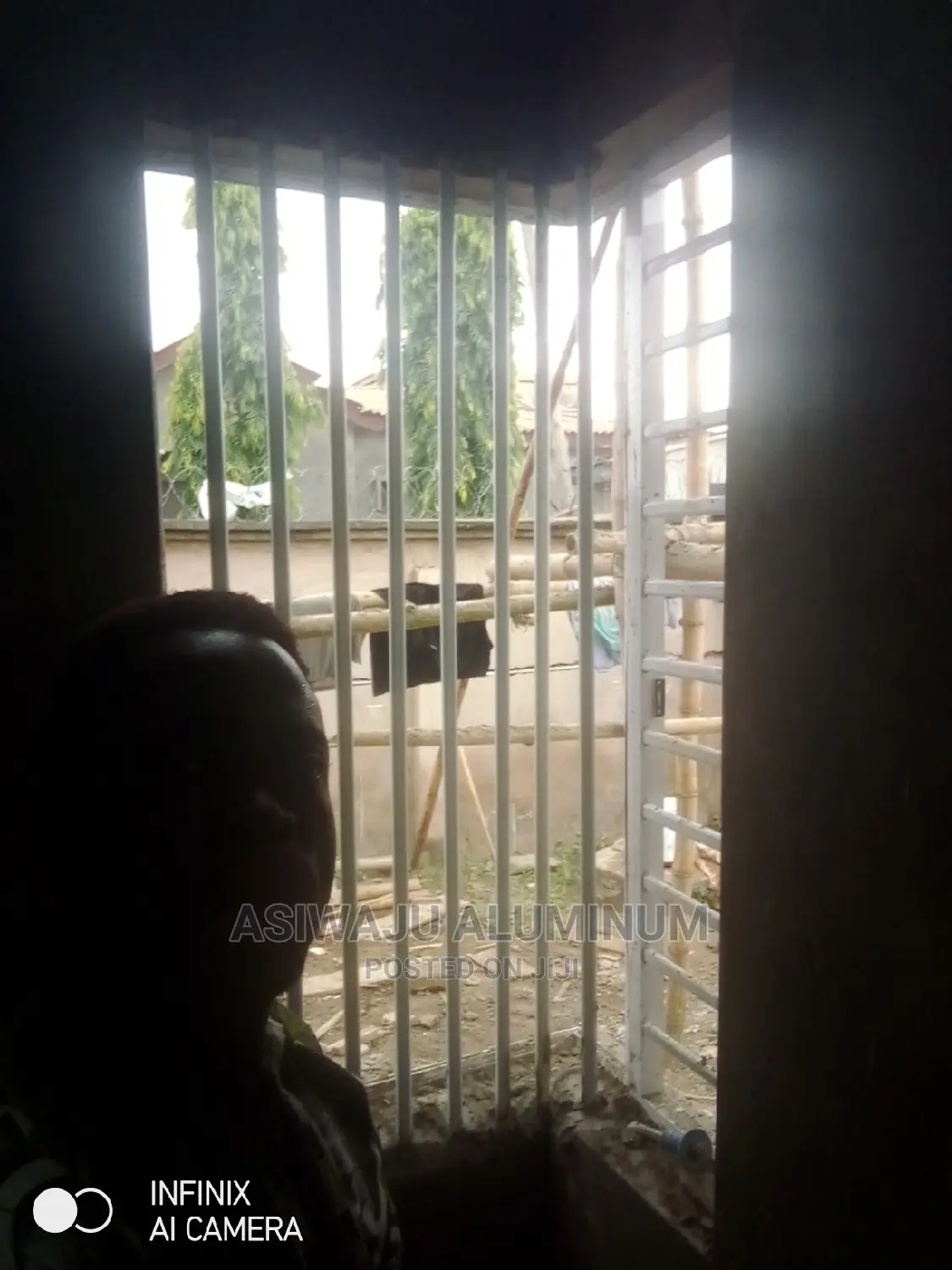 Aluminum Frameless Transome Windows With Burglary and Net