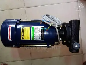 Acex 70 Fuel Transfer Pump