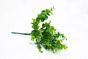 Murayas Filler Flowers Available for Rent