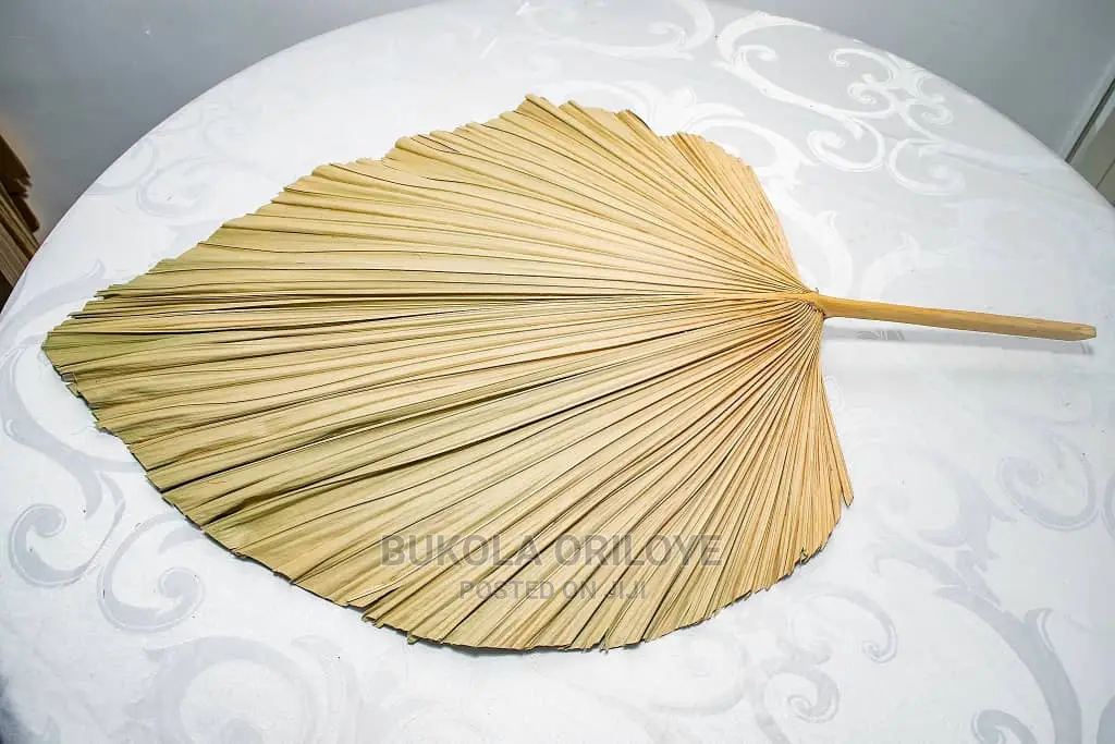 Dried Palms Available for Rent for Your Event Decorations