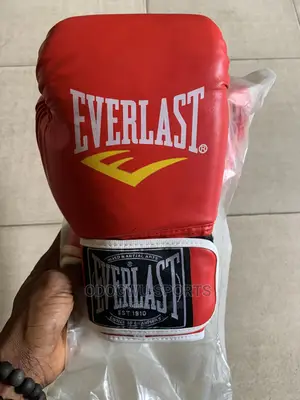 Red Everlast Boxing Glove 516