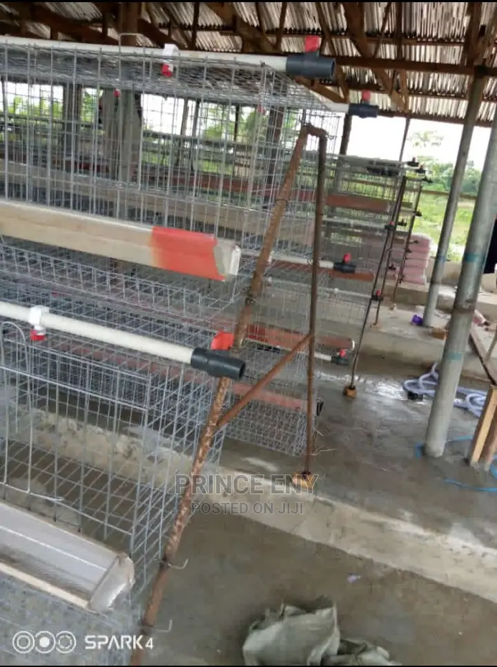 Fairly Used Layers Cage