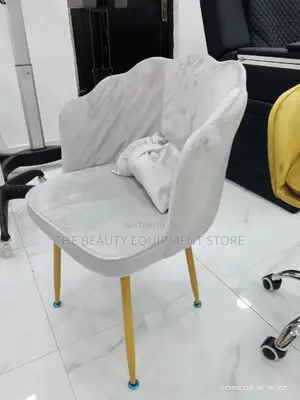 Sofa Salon Chair