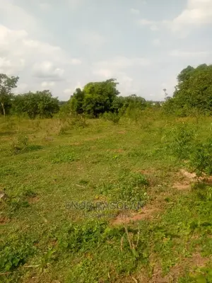 Virgin and Farm Land for Sale