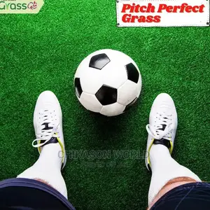Best Synthetic Grass Carpet