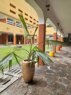 Plants 🪴 Flower and Vase