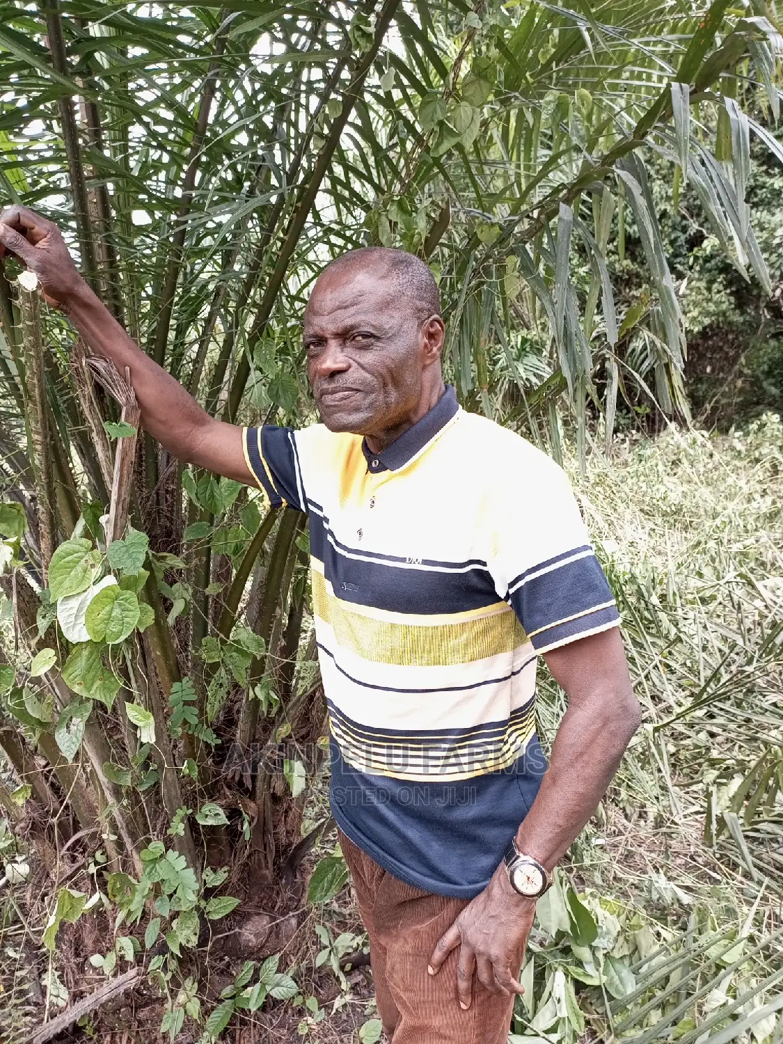 Farm Managers/Workers Recruitment Services